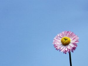 Coping with loneliness when you do not have a partner