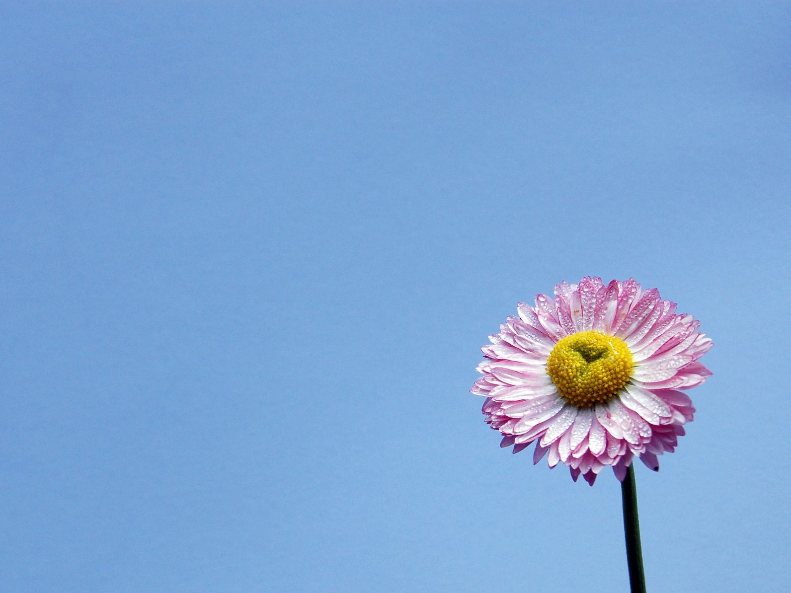 Coping with loneliness when you do not have a partner